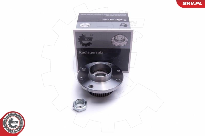 Wheel Bearing Kit